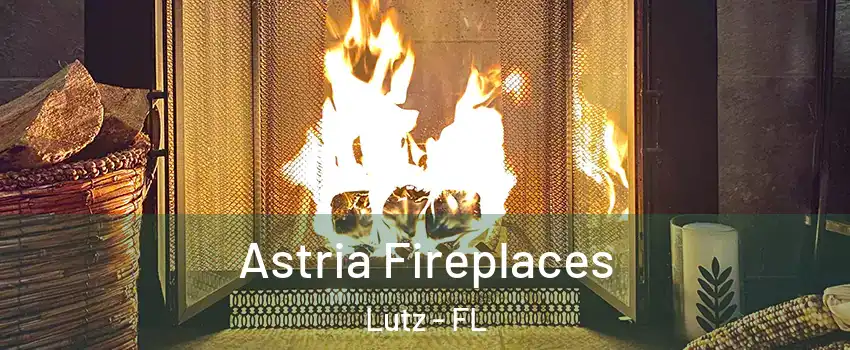  Astria Fireplaces Lutz - FL