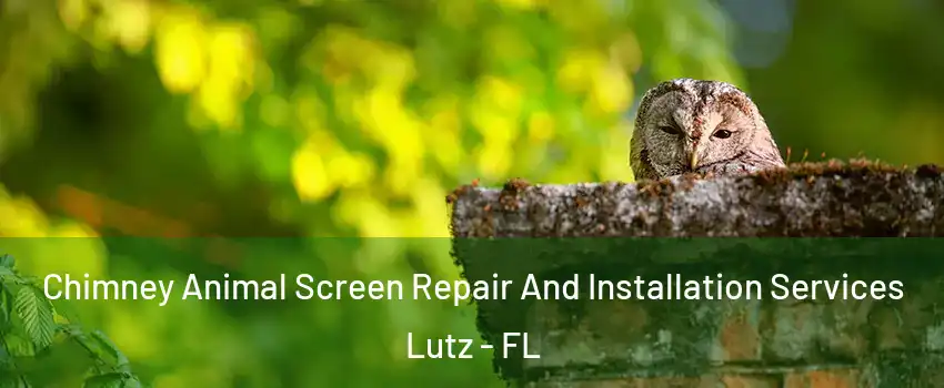  Chimney Animal Screen Repair And Installation Services Lutz - FL