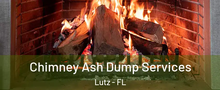  Chimney Ash Dump Services Lutz - FL