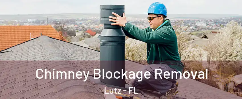  Chimney Blockage Removal Lutz - FL
