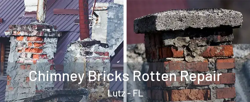  Chimney Bricks Rotten Repair Lutz - FL