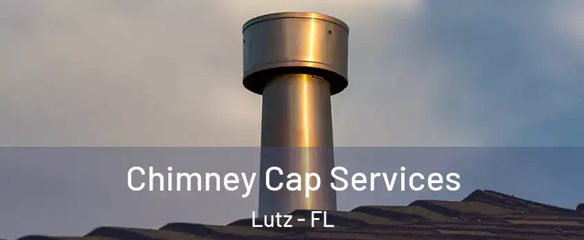  Chimney Cap Services Lutz - FL