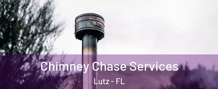  Chimney Chase Services Lutz - FL