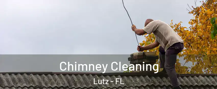  Chimney Cleaning Lutz - FL
