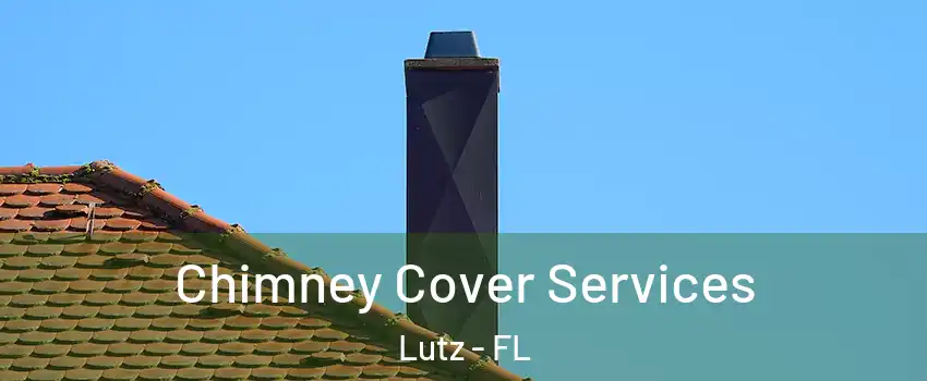 Chimney Cover Services Lutz - FL