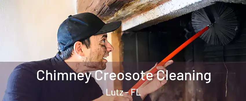  Chimney Creosote Cleaning Lutz - FL