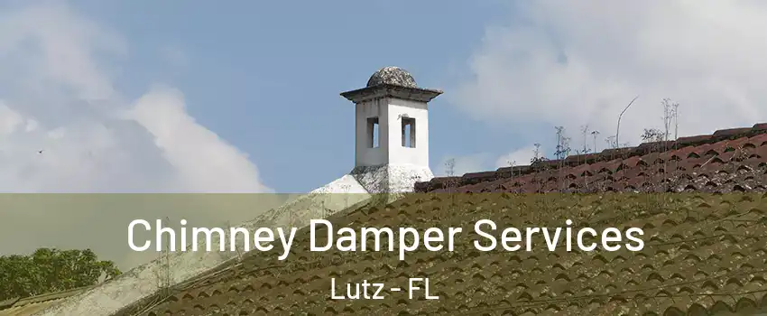  Chimney Damper Services Lutz - FL