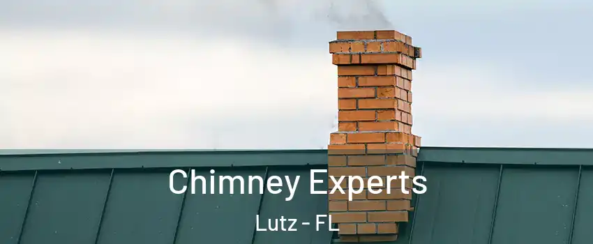  Chimney Experts Lutz - FL