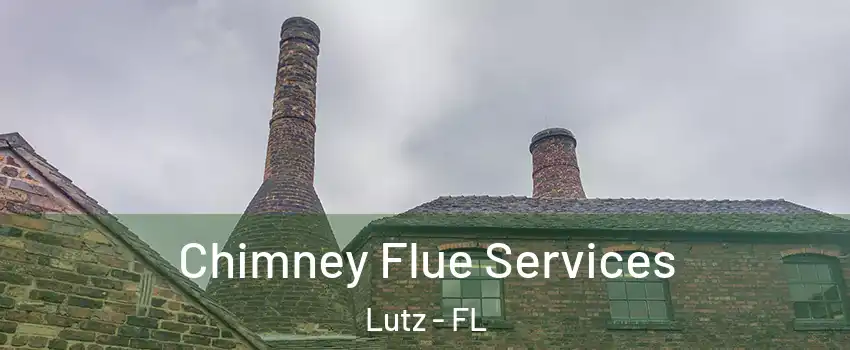  Chimney Flue Services Lutz - FL