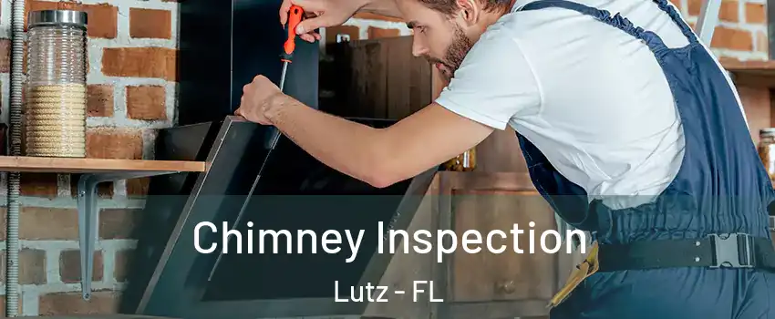  Chimney Inspection Lutz - FL
