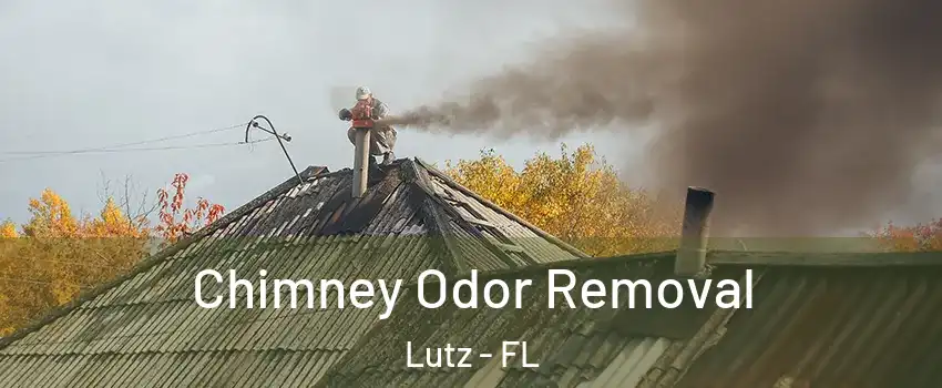  Chimney Odor Removal Lutz - FL