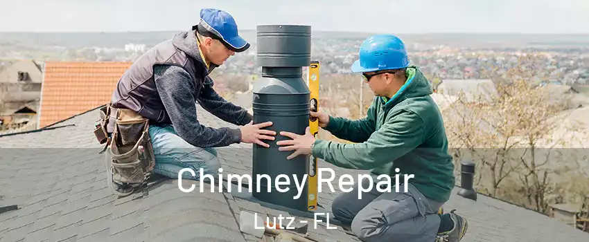  Chimney Repair Lutz - FL