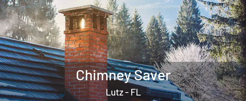  Chimney Saver Lutz - FL
