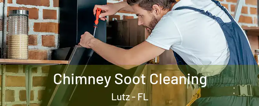  Chimney Soot Cleaning Lutz - FL