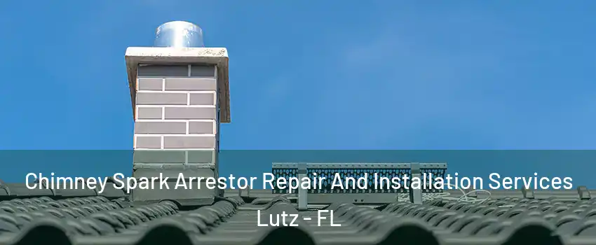  Chimney Spark Arrestor Repair And Installation Services Lutz - FL