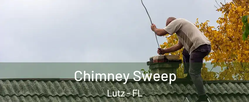  Chimney Sweep Lutz - FL