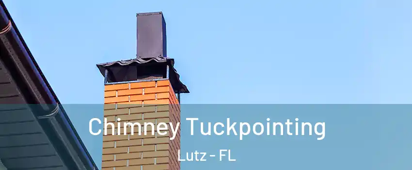  Chimney Tuckpointing Lutz - FL
