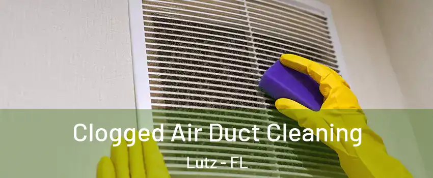  Clogged Air Duct Cleaning Lutz - FL