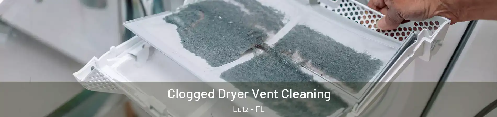  Clogged Dryer Vent Cleaning Lutz - FL