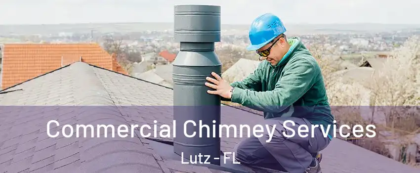  Commercial Chimney Services Lutz - FL