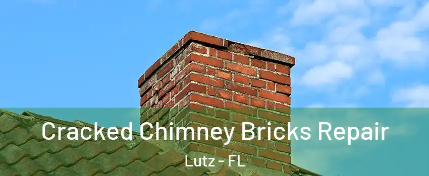  Cracked Chimney Bricks Repair Lutz - FL