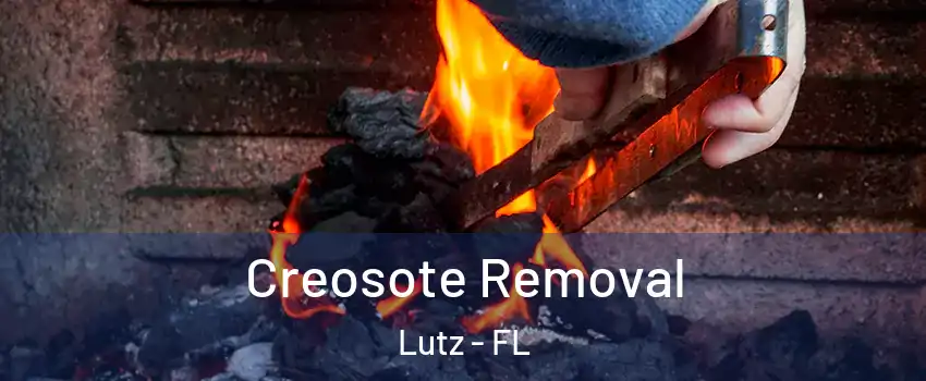  Creosote Removal Lutz - FL