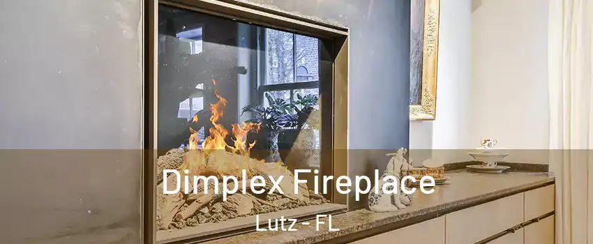  Dimplex Fireplace Lutz - FL