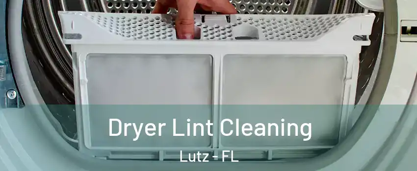  Dryer Lint Cleaning Lutz - FL