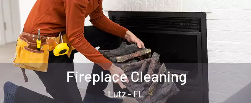  Fireplace Cleaning Lutz - FL