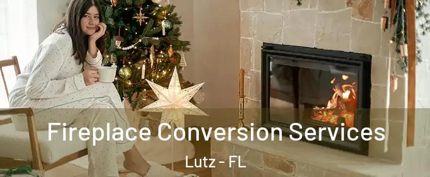  Fireplace Conversion Services Lutz - FL