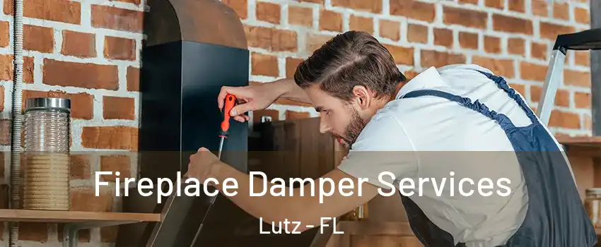  Fireplace Damper Services Lutz - FL