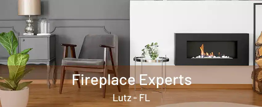  Fireplace Experts Lutz - FL