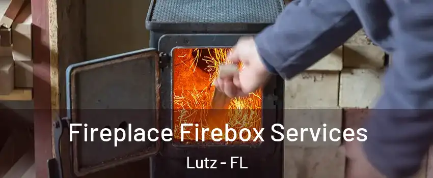  Fireplace Firebox Services Lutz - FL