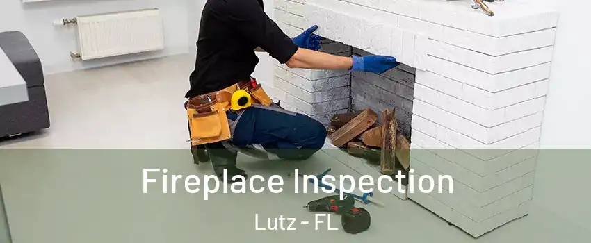  Fireplace Inspection Lutz - FL