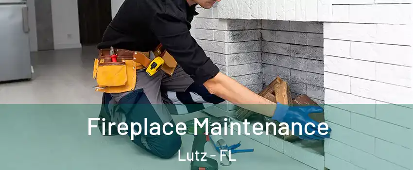  Fireplace Maintenance Lutz - FL