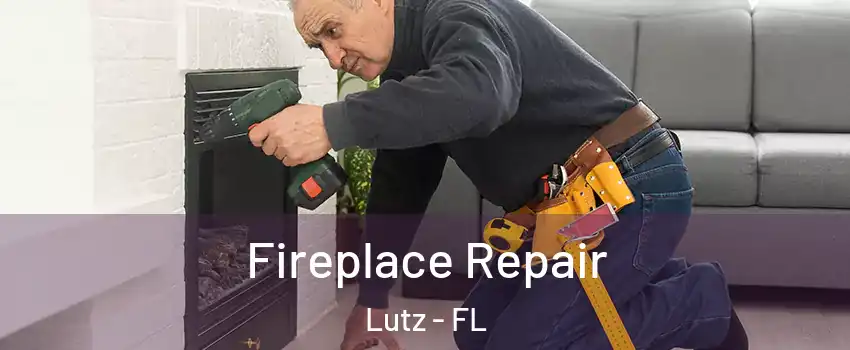  Fireplace Repair Lutz - FL
