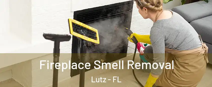  Fireplace Smell Removal Lutz - FL