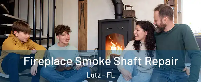  Fireplace Smoke Shaft Repair Lutz - FL