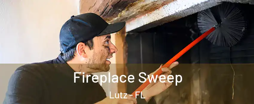  Fireplace Sweep Lutz - FL