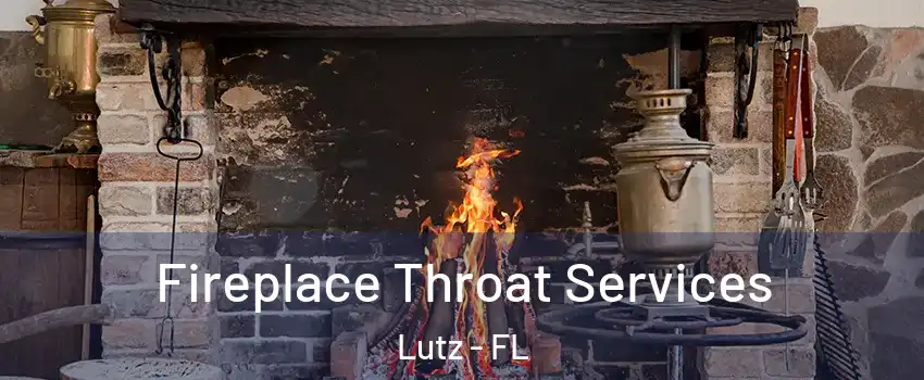  Fireplace Throat Services Lutz - FL