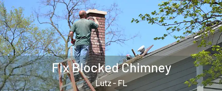  Fix Blocked Chimney Lutz - FL