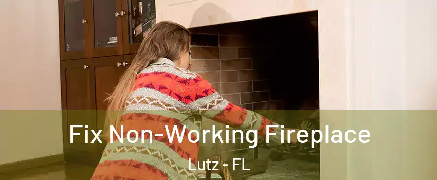  Fix Non-Working Fireplace Lutz - FL