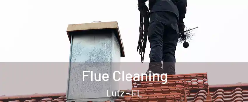 Flue Cleaning Lutz - FL