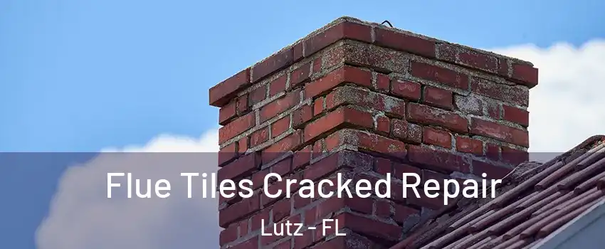  Flue Tiles Cracked Repair Lutz - FL