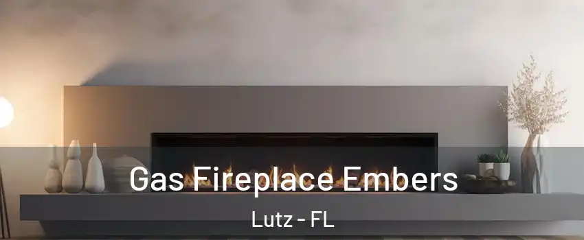  Gas Fireplace Embers Lutz - FL