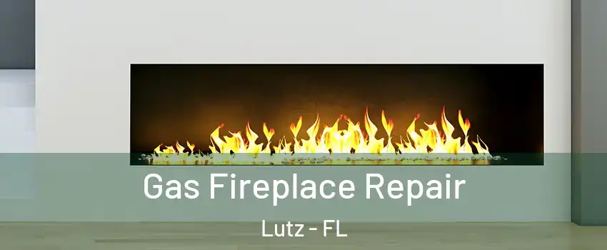  Gas Fireplace Repair Lutz - FL