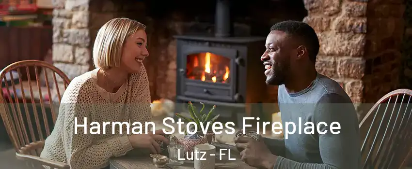  Harman Stoves Fireplace Lutz - FL
