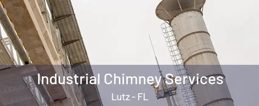  Industrial Chimney Services Lutz - FL