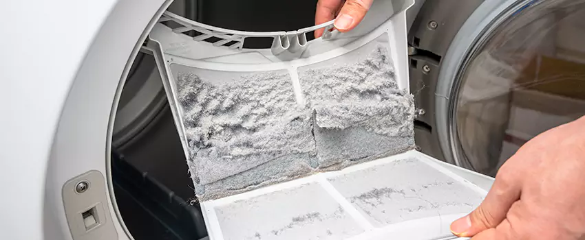Best Dryer Lint Removal Company in Lutz, Florida