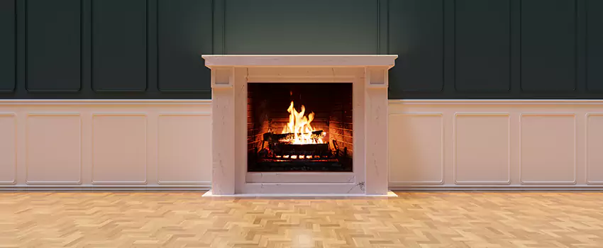 Napoleon Electric Fireplaces Inspection Service in Lutz, Florida